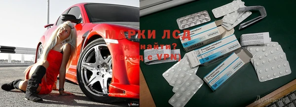 марихуана Инта